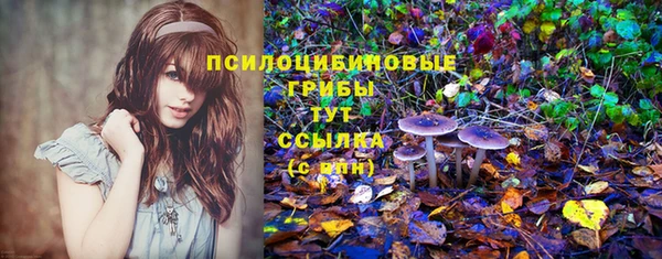 бутират Краснотурьинск